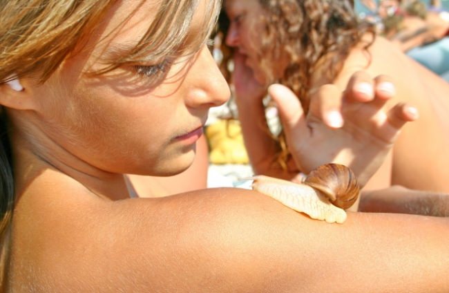 Beach of nudists - a photo a collection